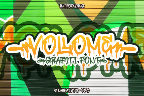 Enhance Your Brand with the Vollome Display Font